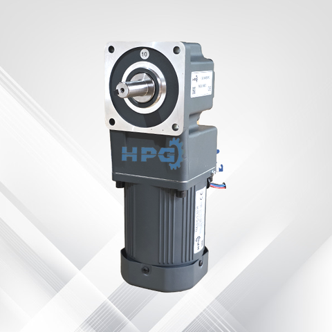 Động cơ giảm tốc mini RT