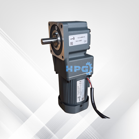 Động cơ giảm tốc mini RT