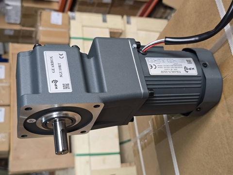 Động cơ giảm tốc RT