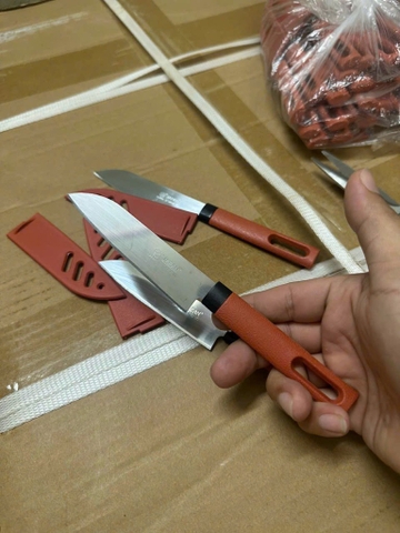 Set 10 cây dao 522 gọt hoa quả, trái cây, làm bếp có nắp đậy