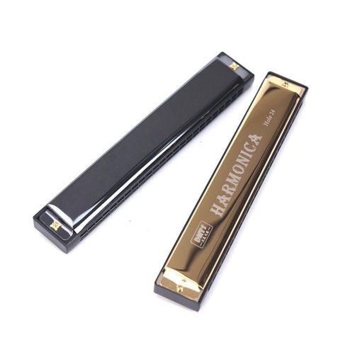 Thanh lý 1 cây duy nhất kèn harmonica 24 lỗ [do lưu kho nên vít hơi gỉ sét, khách mua về chùi lại sd bình thường] [BH: NONE]