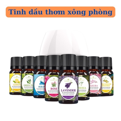 Tinh dầu tự nhiên thơm phòng chai 10ml nhiều mùi [BH: None]