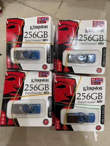 USB 256Gb KINGSTON DT101-G2 NHỰA 2.0 [BH 1 năm]