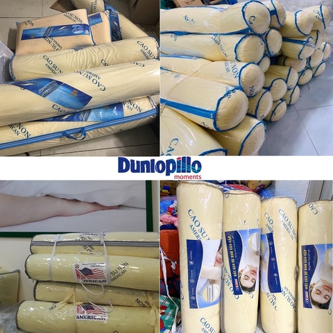 Gối ôm cao su non American 95cm [BH: NONE]