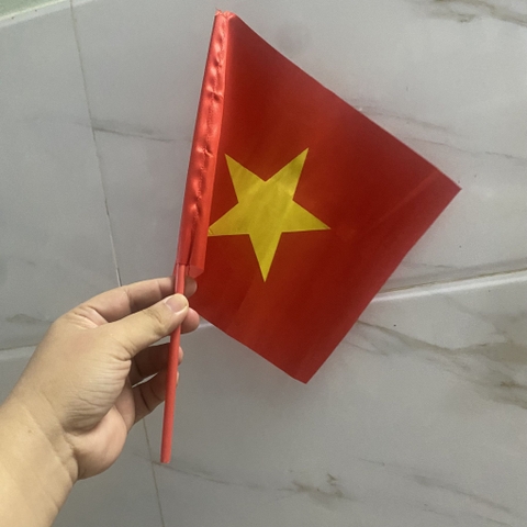 Lá cờ cổ vũ Việt Nam chiến thắng cây ngắn 22x19cm / pktn sale