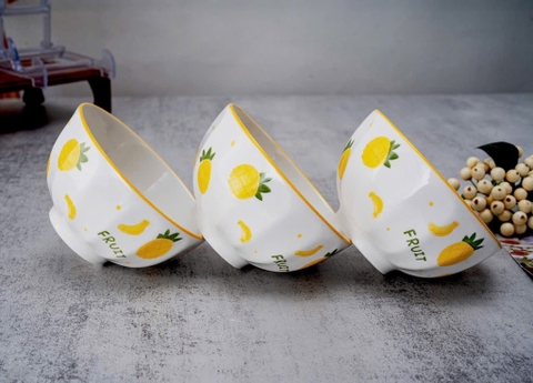 Set 5 chén sứ viền FRUIT- mẫu tùy lô ngẫu nhiên [BH: NONE] 1l1b12