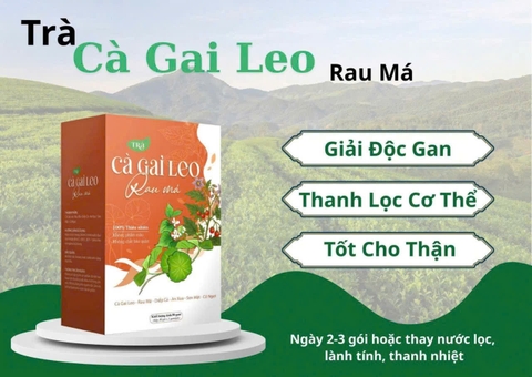 UỐNG TRÀ THẢO MỘC CÓ ĐANG LÀ XU HƯỚNG MỚI ?