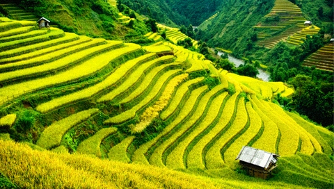 HÀ NỘI - SAPA - FANSIPAN - HẠ LONG 4 NGÀY 3 ĐÊM