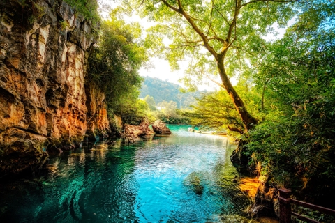 QUẢNG BÌNH - ĐỘNG PHONG NHA - ĐỘNG THIÊN ĐƯỜNG 3 NGÀY 2 ĐÊM