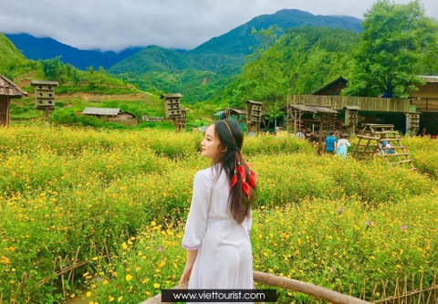 HÀ NỘI - SAPA - FANSIPAN 3 NGÀY 2 ĐÊM