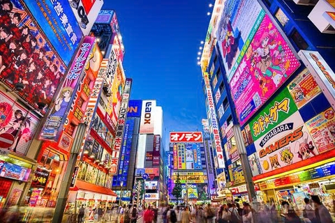 Osaka - Kyoto - Núi Phú Sĩ - Tokyo