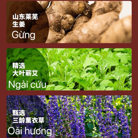 10 miếng dán làm ấm giảm đau CỔ VAI GÁY Tinh Dầu Ngải Cứu WECAN