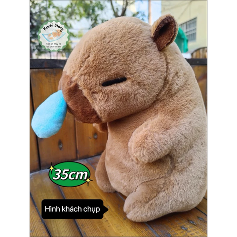 Gấu Bông Capybara 30-35cm Chảy Nước Mũi Kéo Rung đáng yêu
