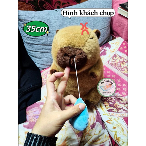 Gấu Bông Capybara 30-35cm Chảy Nước Mũi Kéo Rung đáng yêu