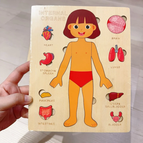 Montessori Đồ Chơi Gỗ Ghép Hình Trò Chơi Giải Phẫu Cơ Thể Con Người Human Body Structure Puzzle