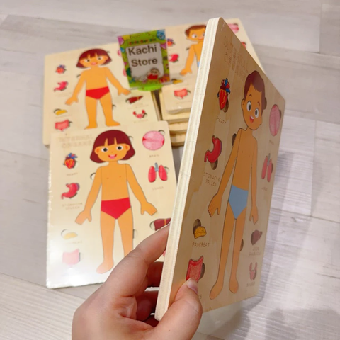Montessori Đồ Chơi Gỗ Ghép Hình Trò Chơi Giải Phẫu Cơ Thể Con Người Human Body Structure Puzzle