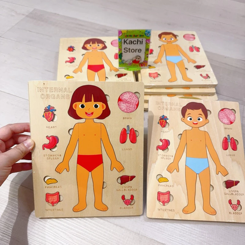 Montessori Đồ Chơi Gỗ Ghép Hình Trò Chơi Giải Phẫu Cơ Thể Con Người Human Body Structure Puzzle
