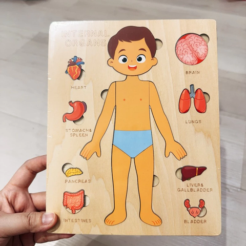 Montessori Đồ Chơi Gỗ Ghép Hình Trò Chơi Giải Phẫu Cơ Thể Con Người Human Body Structure Puzzle