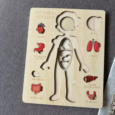 Montessori Đồ Chơi Gỗ Ghép Hình Trò Chơi Giải Phẫu Cơ Thể Con Người Human Body Structure Puzzle