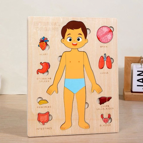 Montessori Đồ Chơi Gỗ Ghép Hình Trò Chơi Giải Phẫu Cơ Thể Con Người Human Body Structure Puzzle