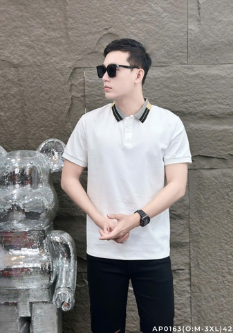 AP0163 (O: M-3XL) | CH3