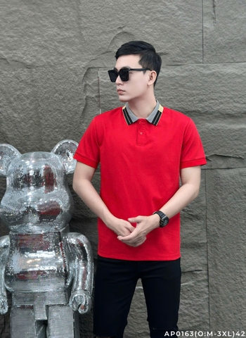 AP0163 (O: M-3XL) | CH3