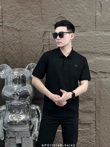 AP0110 (48-54) | WKI1