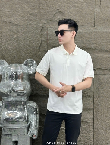 AP0110 (48-54) | WKI1