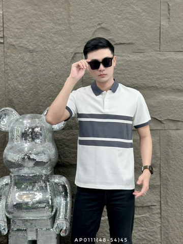 AP0111 (48-54) | WKI1