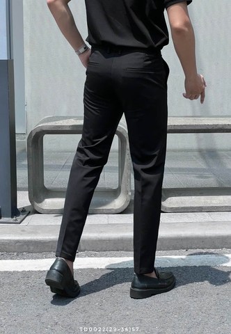 TD0022 (29-34) | LMN1