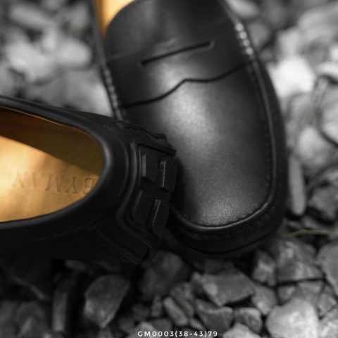 GM0003 (38-43) | ALO1