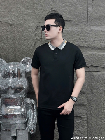 AP0163 (O: M-3XL) | CH3