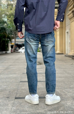 JD0107 (29-34) | LMN1