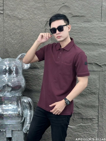 AP0151 (R: S-XL) | DHA1