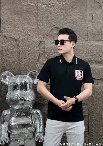 AP0171 (R: S-XL) | DHA1