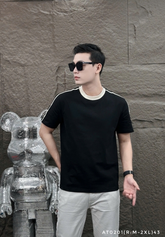 AT0201 (R: M-2XL) | LMN1