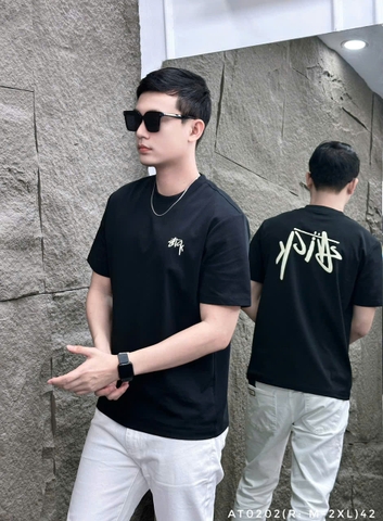 AT0202 (R: M-2XL) | LMN1