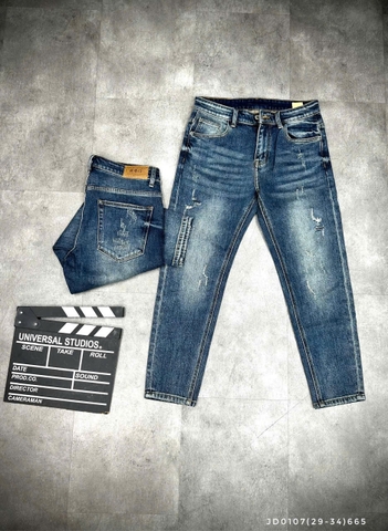 JD0107 (29-34) | LMN1