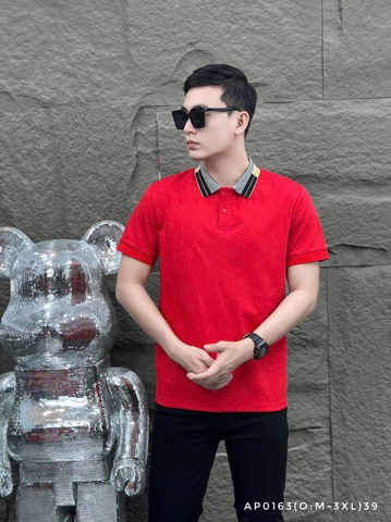 AP0163 (O: M-3XL) | CH3