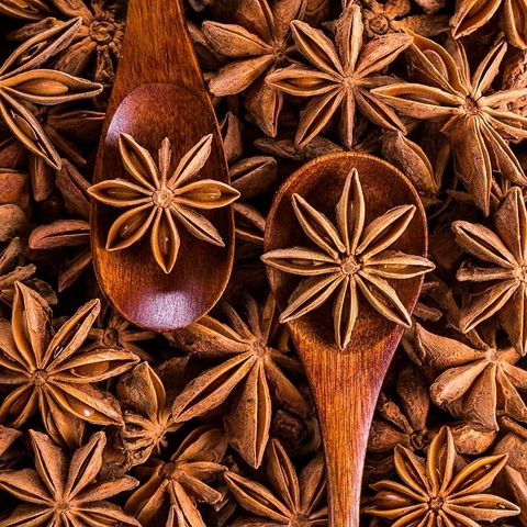 Premium Vietnamese Star anise