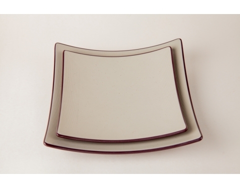 DĨA DV 266N, DV 267N