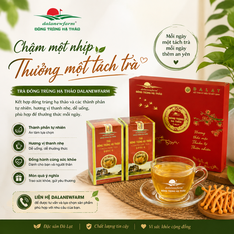 Chậm một nhịp – Thưởng một tách trà, tận hưởng những phút giây an yên mỗi ngày