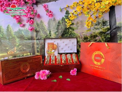 [COMBO VIP] Nhộng Trùng Thảo Tinh Tuyển Dalanewfarm (6 Ống Nhộng Trùng Thảo)