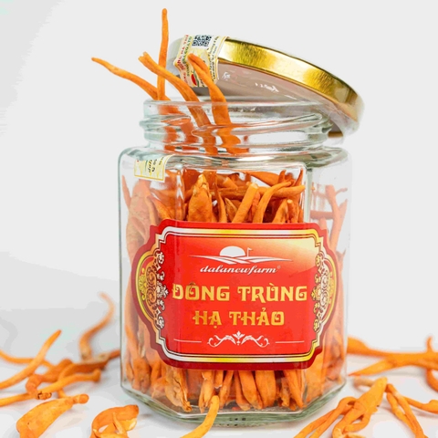 ĐTHT sấy thăng hoa Size 1