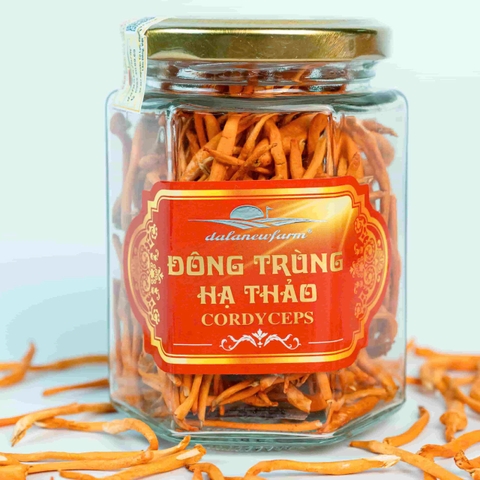 ĐTHT sấy thăng hoa Size 3