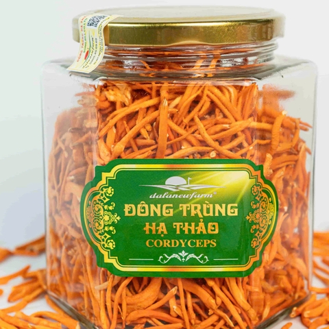 ĐTHT sấy thăng hoa Size 4