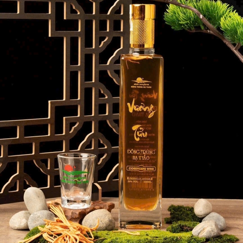 Rượu đông trùng hạ thảo vương tửu