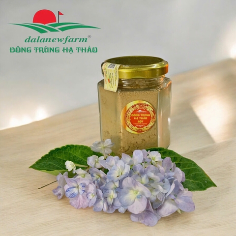 Bột đông trùng hạ thảo Dalanewfarm | Tăng Đề Kháng – Ngủ Ngon – Bồi Bổ Cơ Thể