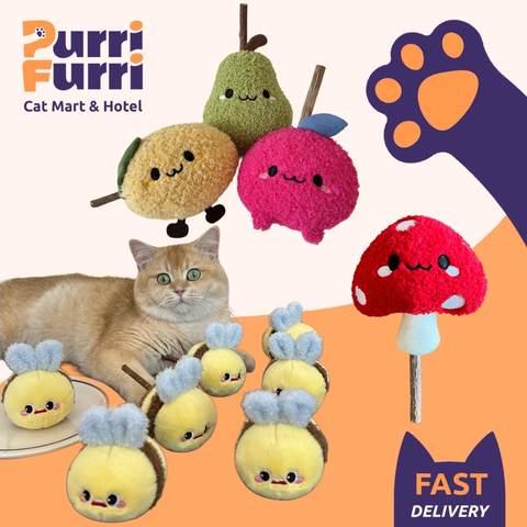 Thú Bông Catnip + Gỗ Catnip Sạch Răng Cho Mèo