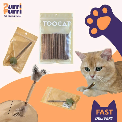 Que Gỗ Catnip Gặm Sạch Răng Cho Mèo